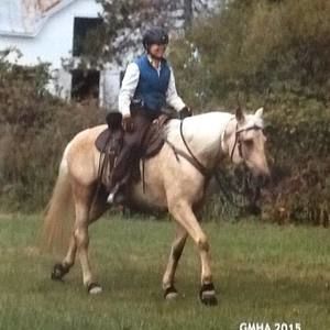 Meet your Posher, Laurie